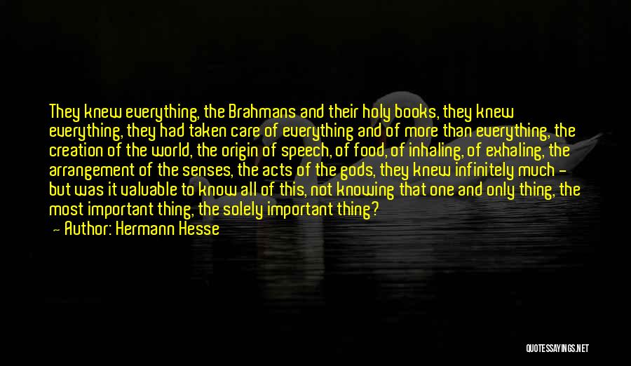 Someone Not Knowing How Much You Care Quotes By Hermann Hesse