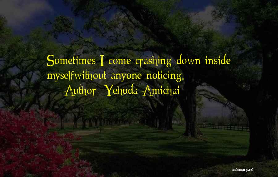Someone Not Noticing You Quotes By Yehuda Amichai