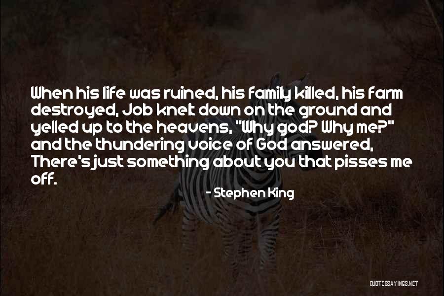 Someone Pisses You Off Quotes By Stephen King Someone Pisses You Off Quotes By Stephen King
