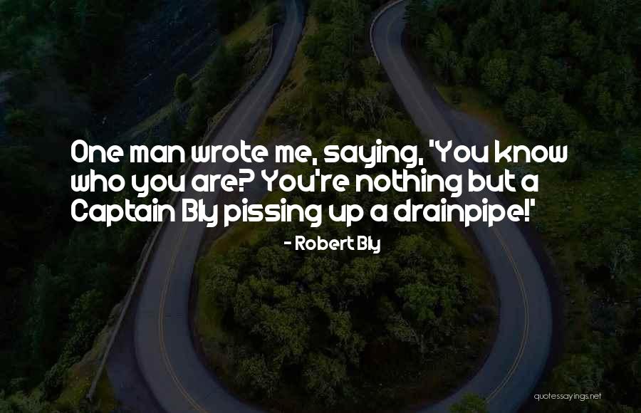 Someone Pissing You Off Quotes By Robert Bly