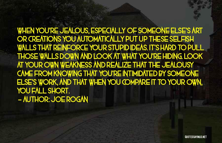 Someone Put You Down Quotes By Joe Rogan