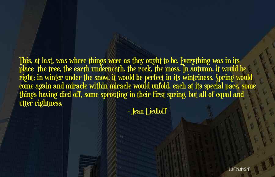 Someone Special Died Quotes By Jean Liedloff Someone Special Died Quotes By Jean Liedloff