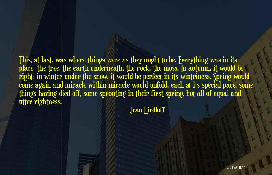 Someone Special Died Quotes By Jean Liedloff