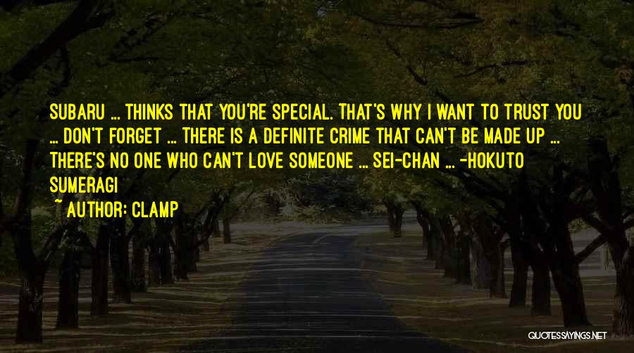 Someone Special To You Quotes By CLAMP