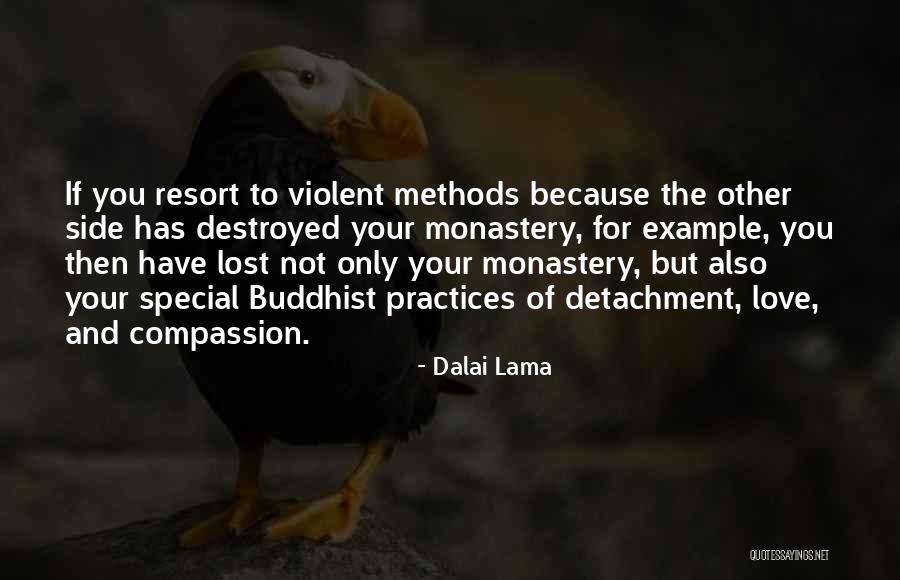 Someone Special You Lost Quotes By Dalai Lama