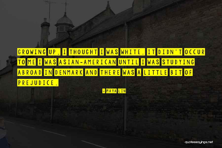Someone Studying Abroad Quotes By Maya Lin Someone Studying Abroad Quotes By Maya Lin