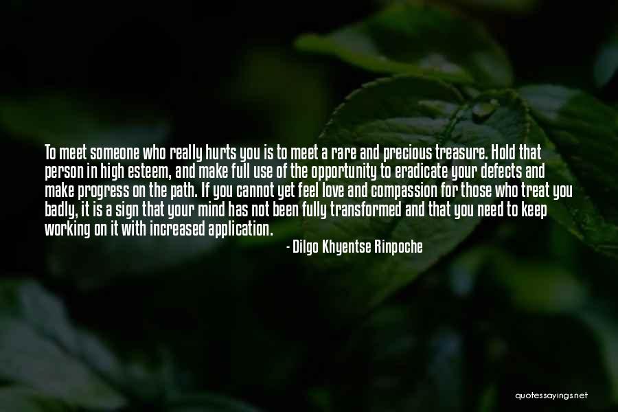 Someone That Hurts You Quotes By Dilgo Khyentse Rinpoche