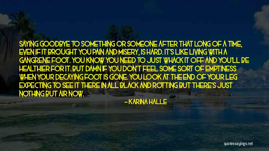 Someone That's Gone Quotes By Karina Halle