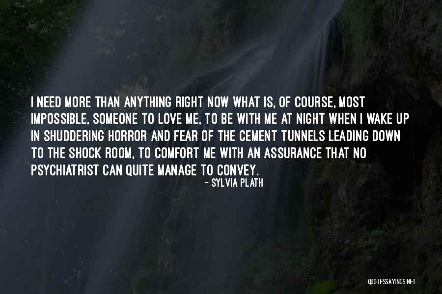 Someone To Comfort Quotes By Sylvia Plath Someone To Comfort Quotes By Sylvia Plath