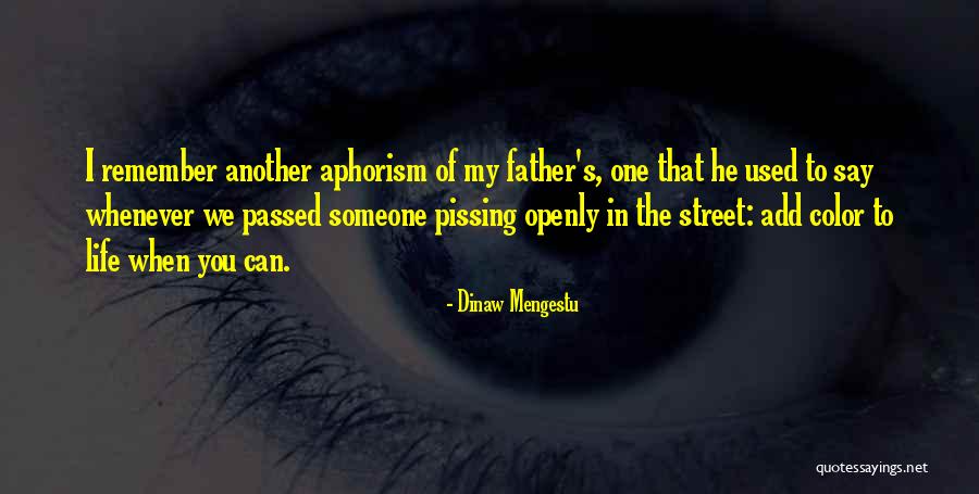 Someone To Remember You Quotes By Dinaw Mengestu Someone To Remember You Quotes By Dinaw Mengestu