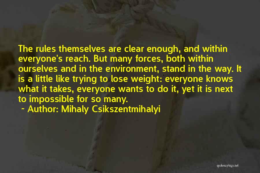 Someone Trying To Lose Weight Quotes By Mihaly Csikszentmihalyi