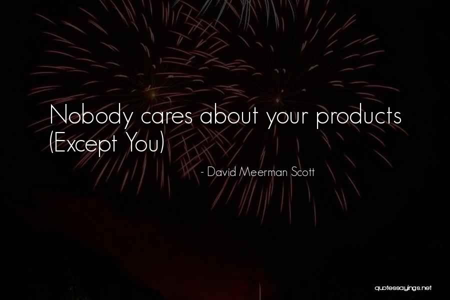 Someone Who Cares About You Quotes By David Meerman Scott