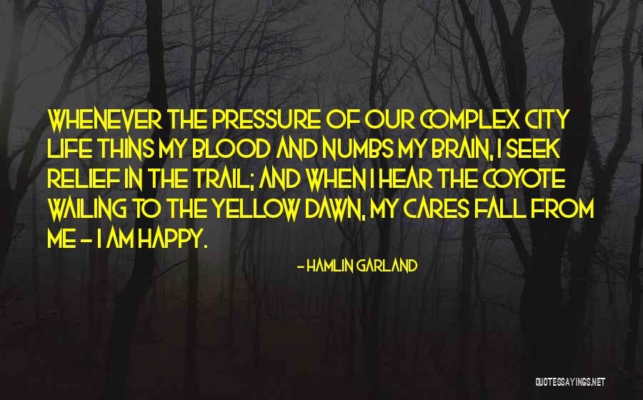 Someone Who Cares Too Much Quotes By Hamlin Garland