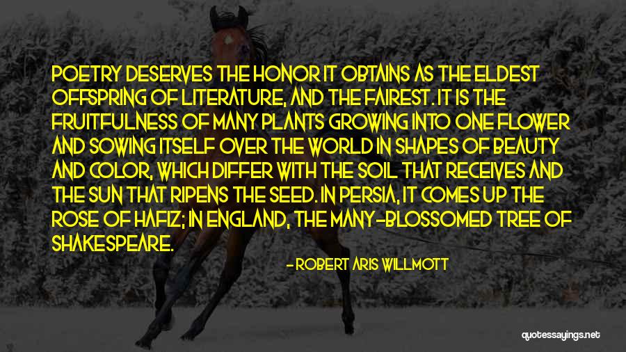 Someone Who Deserves You Quotes By Robert Aris Willmott