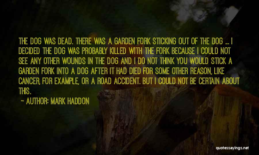 Someone Who Died Of Cancer Quotes By Mark Haddon