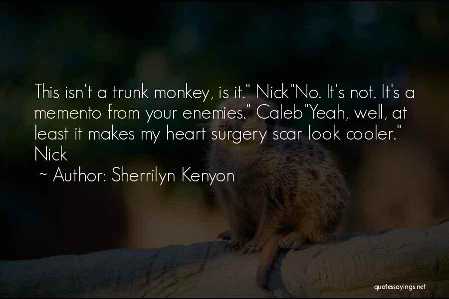 Someone Who Had Surgery Quotes By Sherrilyn Kenyon