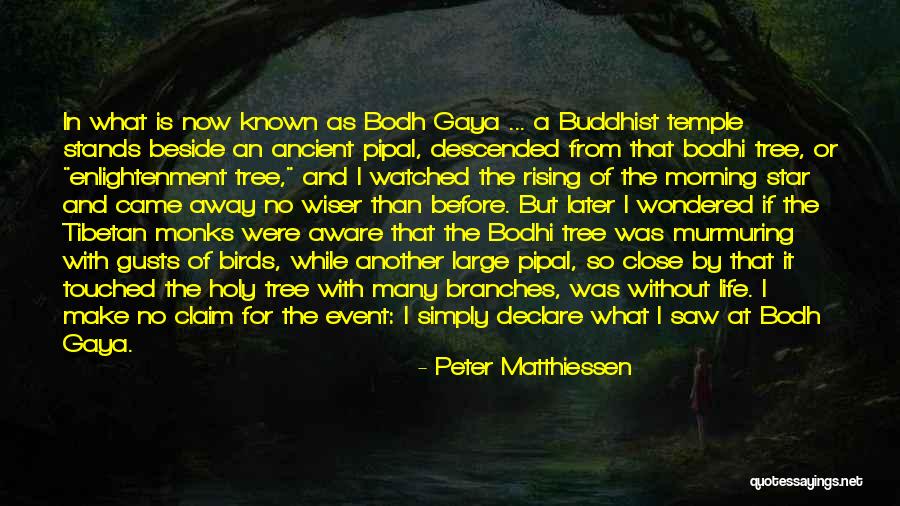 Someone Who Has Touched Your Life Quotes By Peter Matthiessen