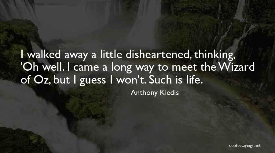 Someone Who Won't Go Away Quotes By Anthony Kiedis