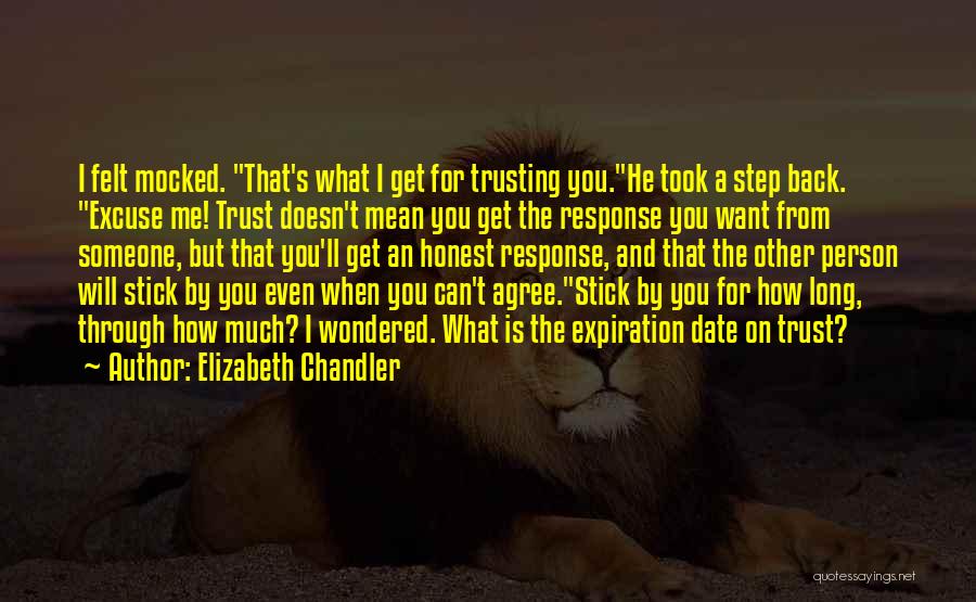 Someone You Can Trust Quotes By Elizabeth Chandler