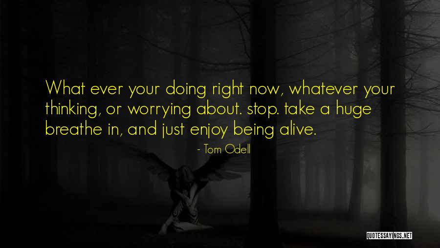 Someone You Can't Stop Thinking About Quotes By Tom Odell Someone You Can't Stop Thinking About Quotes By Tom Odell