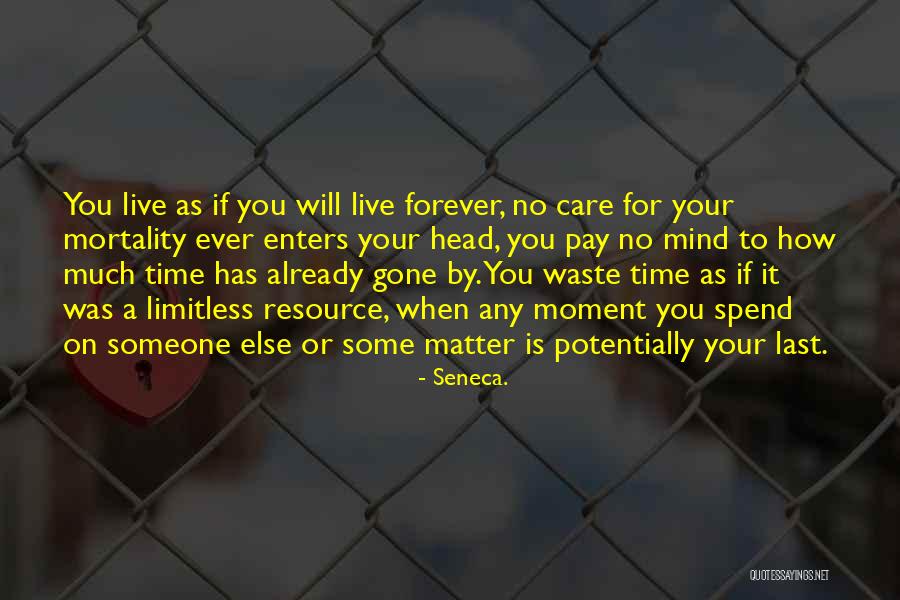 Someone You Care For Quotes By Seneca. Someone You Care For Quotes By Seneca.