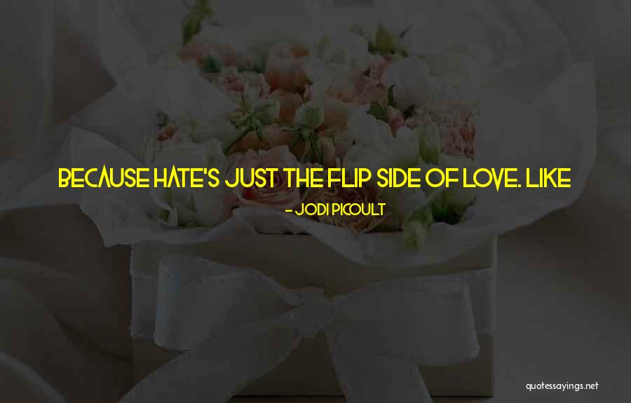 Someone You Hate To Love Quotes By Jodi Picoult Someone You Hate To Love Quotes By Jodi Picoult