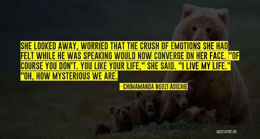 Someone You Have A Crush On Quotes By Chimamanda Ngozi Adichie