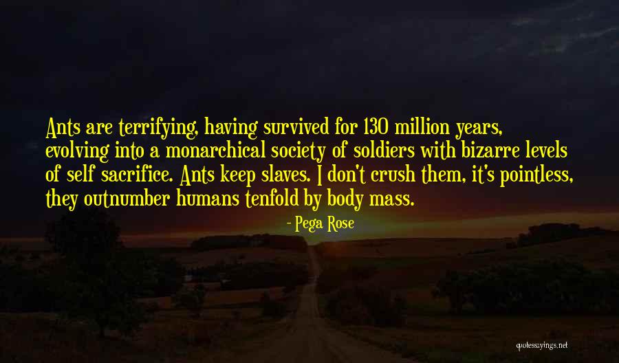 Someone You Have A Crush On Quotes By Pega Rose Someone You Have A Crush On Quotes By Pega Rose