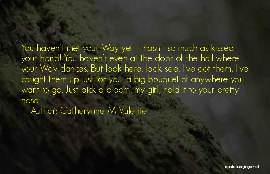Someone You Haven't Met Quotes By Catherynne M Valente