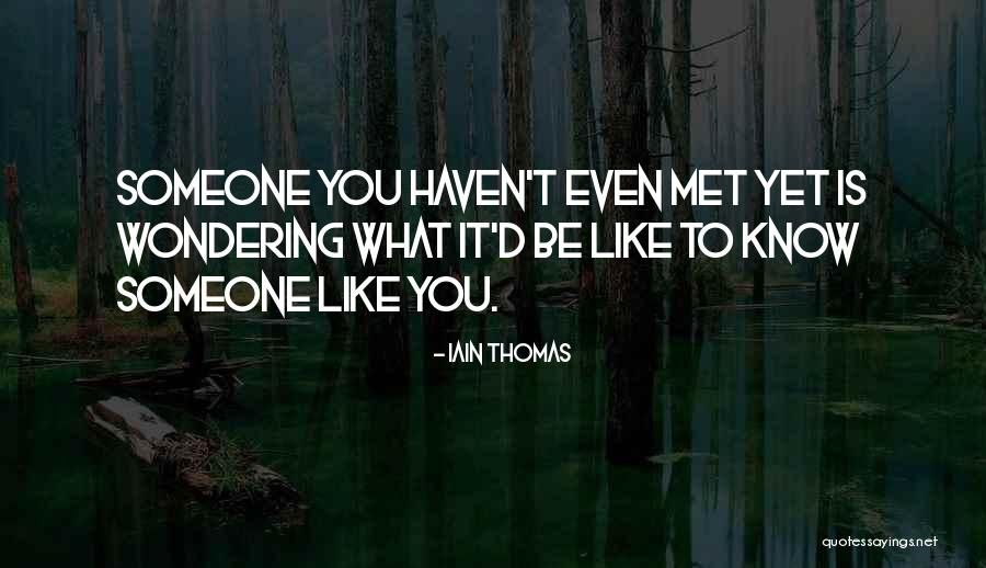 Someone You Haven't Met Quotes By Iain Thomas