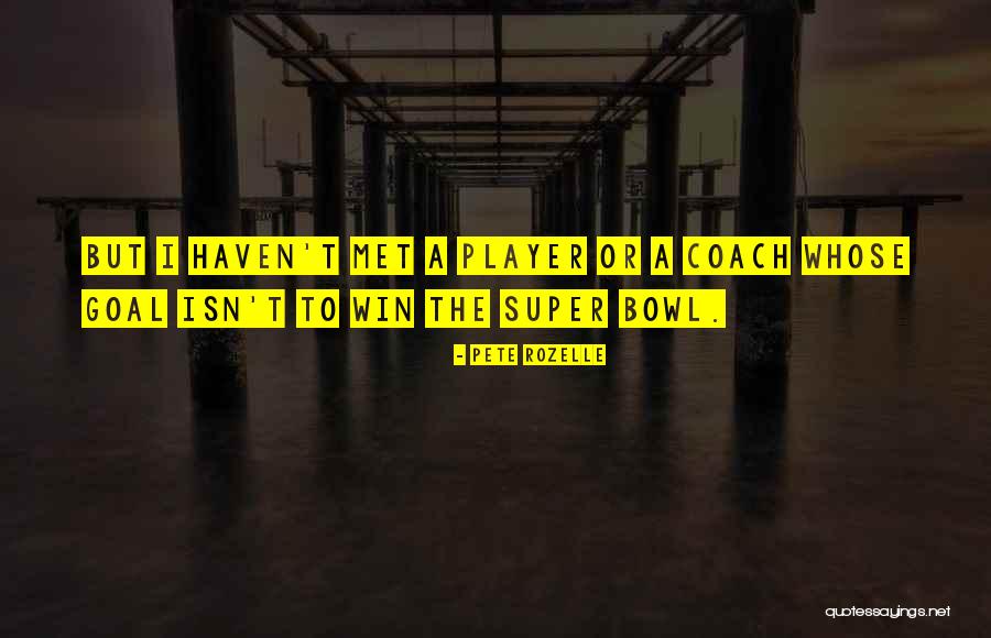 Someone You Haven't Met Quotes By Pete Rozelle