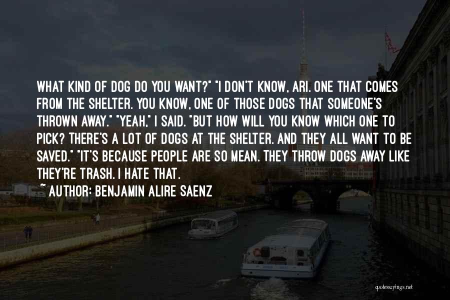 Someone You Like But They Don't Know Quotes By Benjamin Alire Saenz