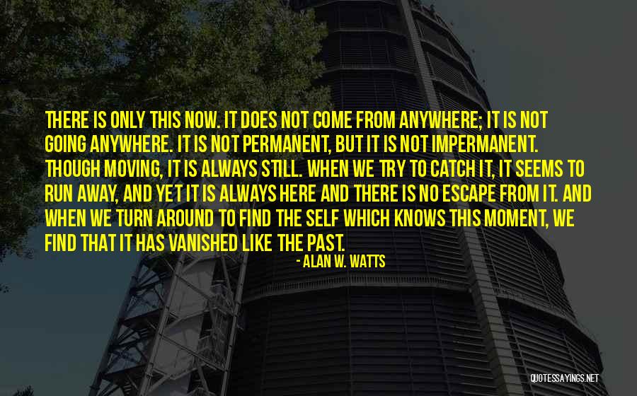Someone You Like Moving Away Quotes By Alan W. Watts Someone You Like Moving Away Quotes By Alan W. Watts
