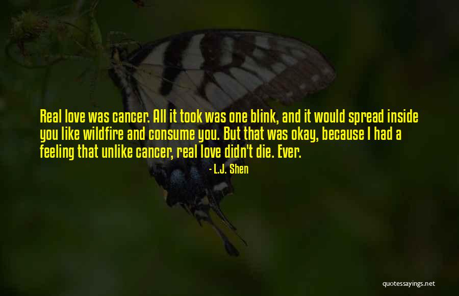 Someone You Love Having Cancer Quotes By L.J. Shen