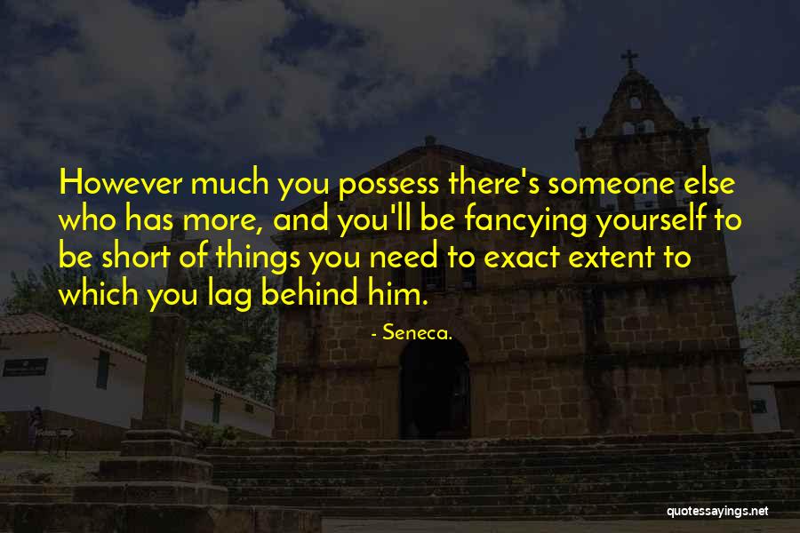 Someone You Need Quotes By Seneca.