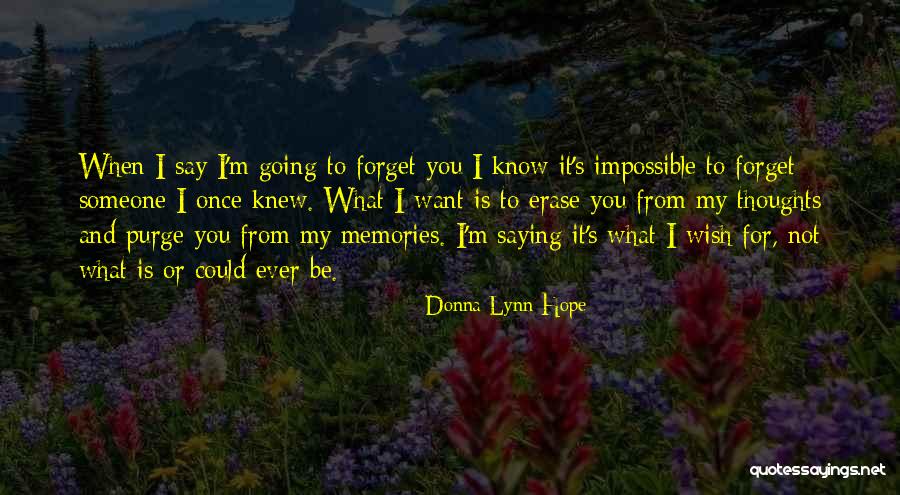 Someone You Once Knew Quotes By Donna Lynn Hope