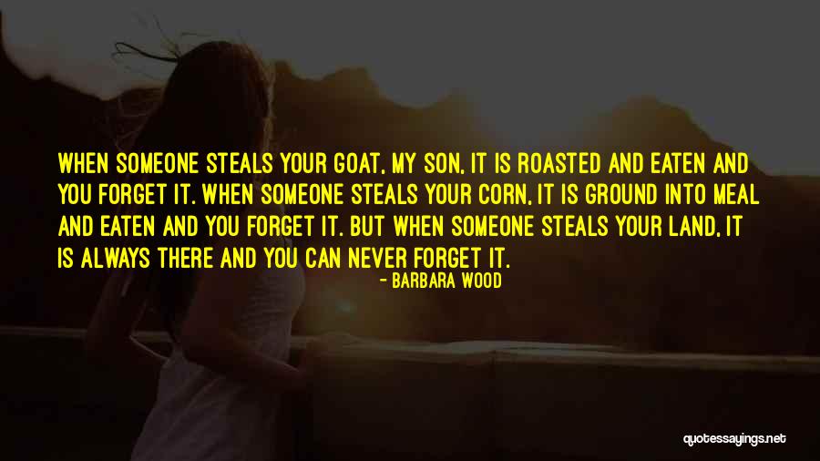 Someone You'll Never Forget Quotes By Barbara Wood Someone You'll Never Forget Quotes By Barbara Wood