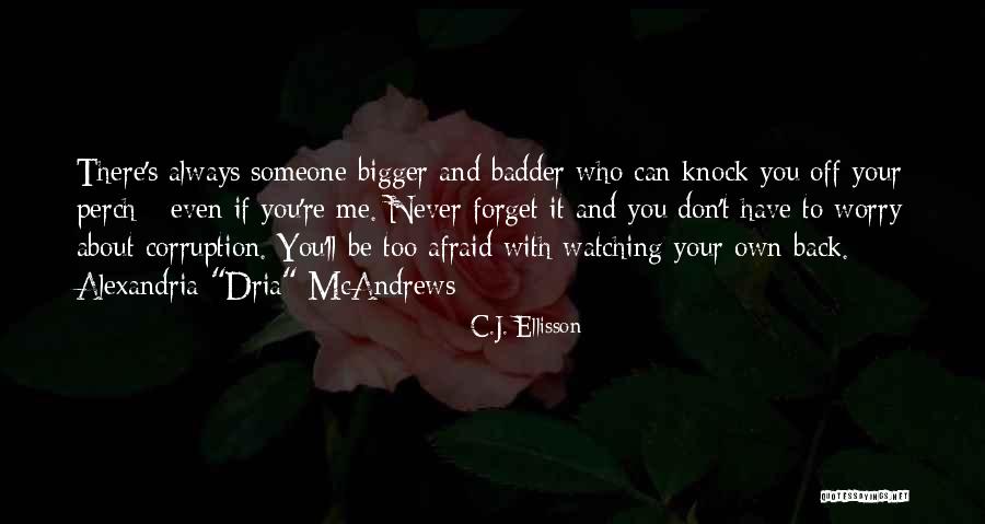 Someone You'll Never Forget Quotes By C.J. Ellisson