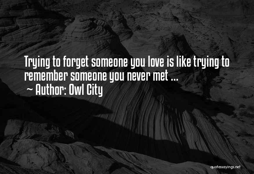 Someone You'll Never Forget Quotes By Owl City