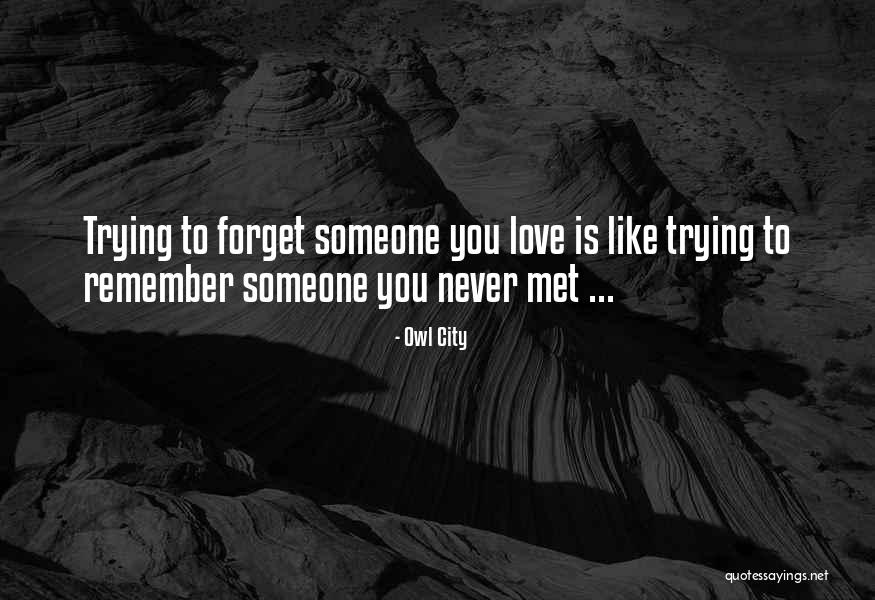 Someone You'll Never Forget Quotes By Owl City