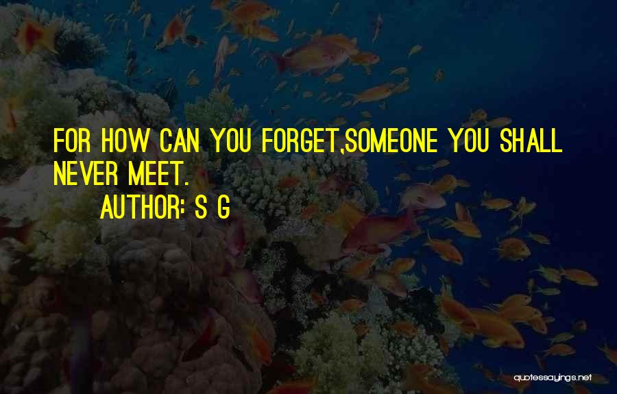 Someone You'll Never Forget Quotes By S G