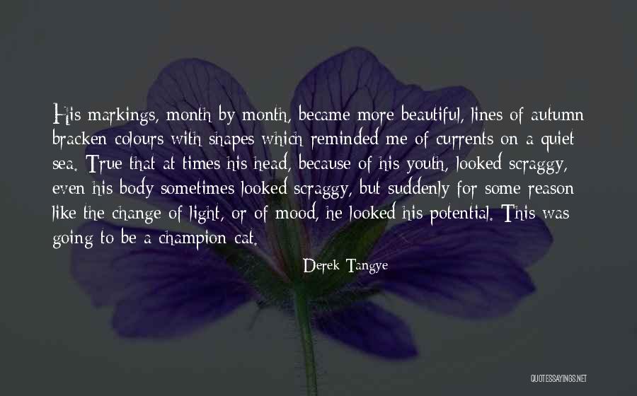 Someone's True Colours Quotes By Derek Tangye