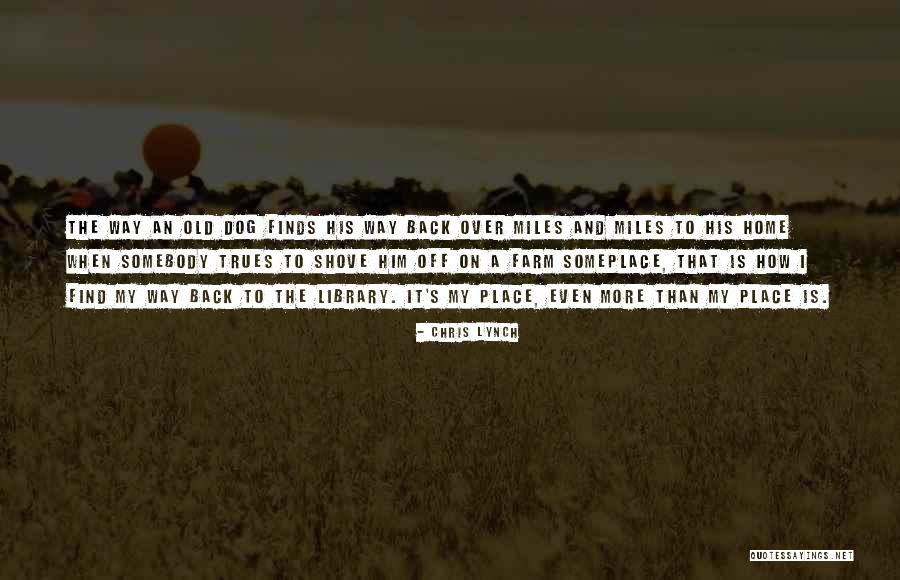 Someplace Quotes By Chris Lynch Someplace Quotes By Chris Lynch