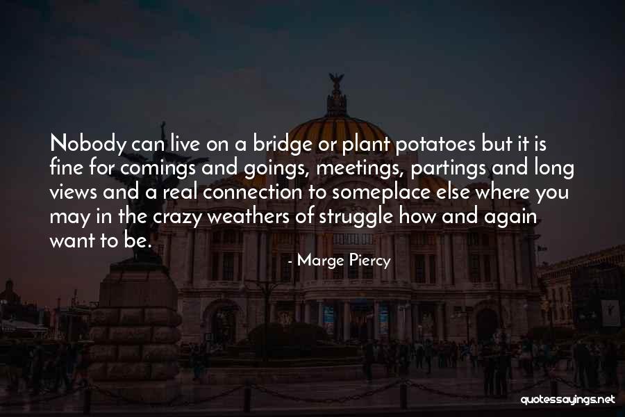 Someplace Quotes By Marge Piercy Someplace Quotes By Marge Piercy