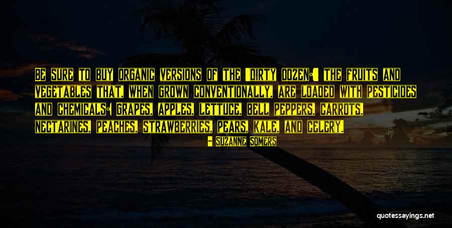 Somers Quotes By Suzanne Somers Somers Quotes By Suzanne Somers