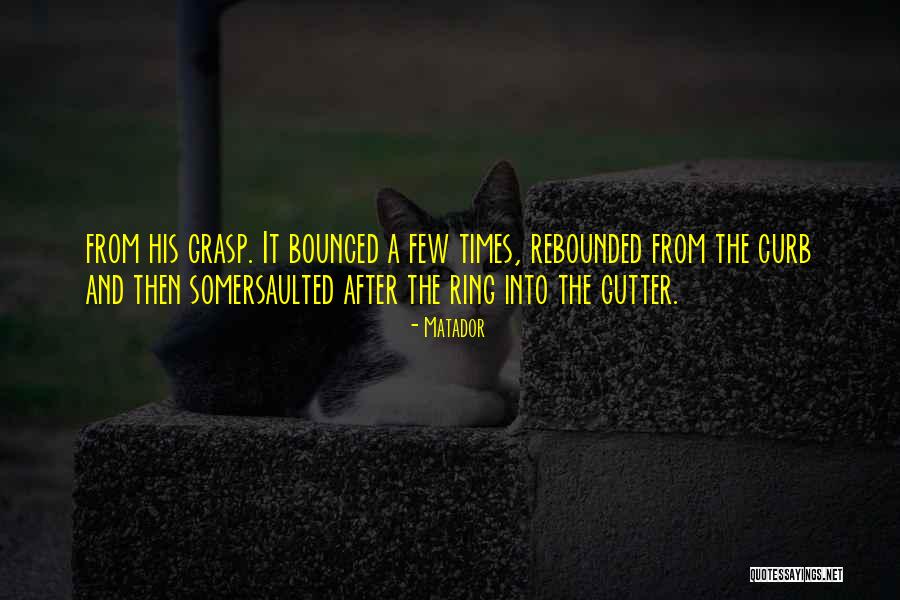 Somersaulted Quotes By Matador Somersaulted Quotes By Matador