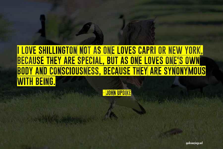 Someternos Quotes By John Updike Someternos Quotes By John Updike