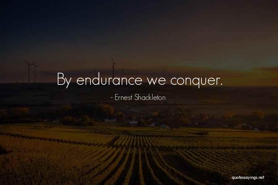 Something About Mary Pat Healy Quotes By Ernest Shackleton Something About Mary Pat Healy Quotes By Ernest Shackleton