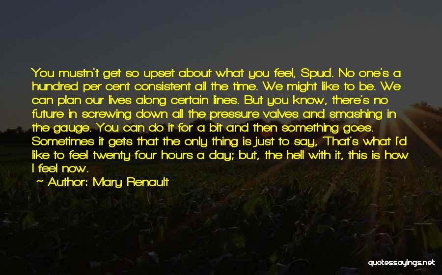 Something About Mary Quotes By Mary Renault