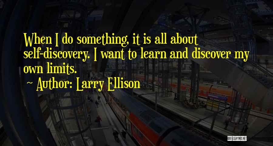 Something About Self Quotes By Larry Ellison